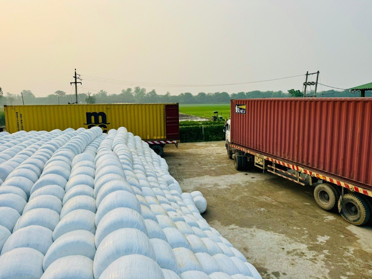 Green Gold Silage Team and Vision