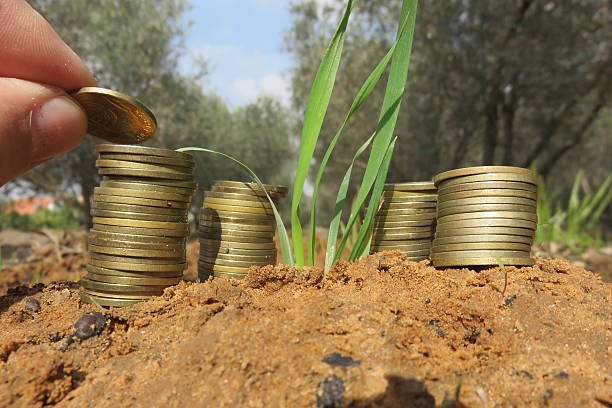 Fodder cost saving tips