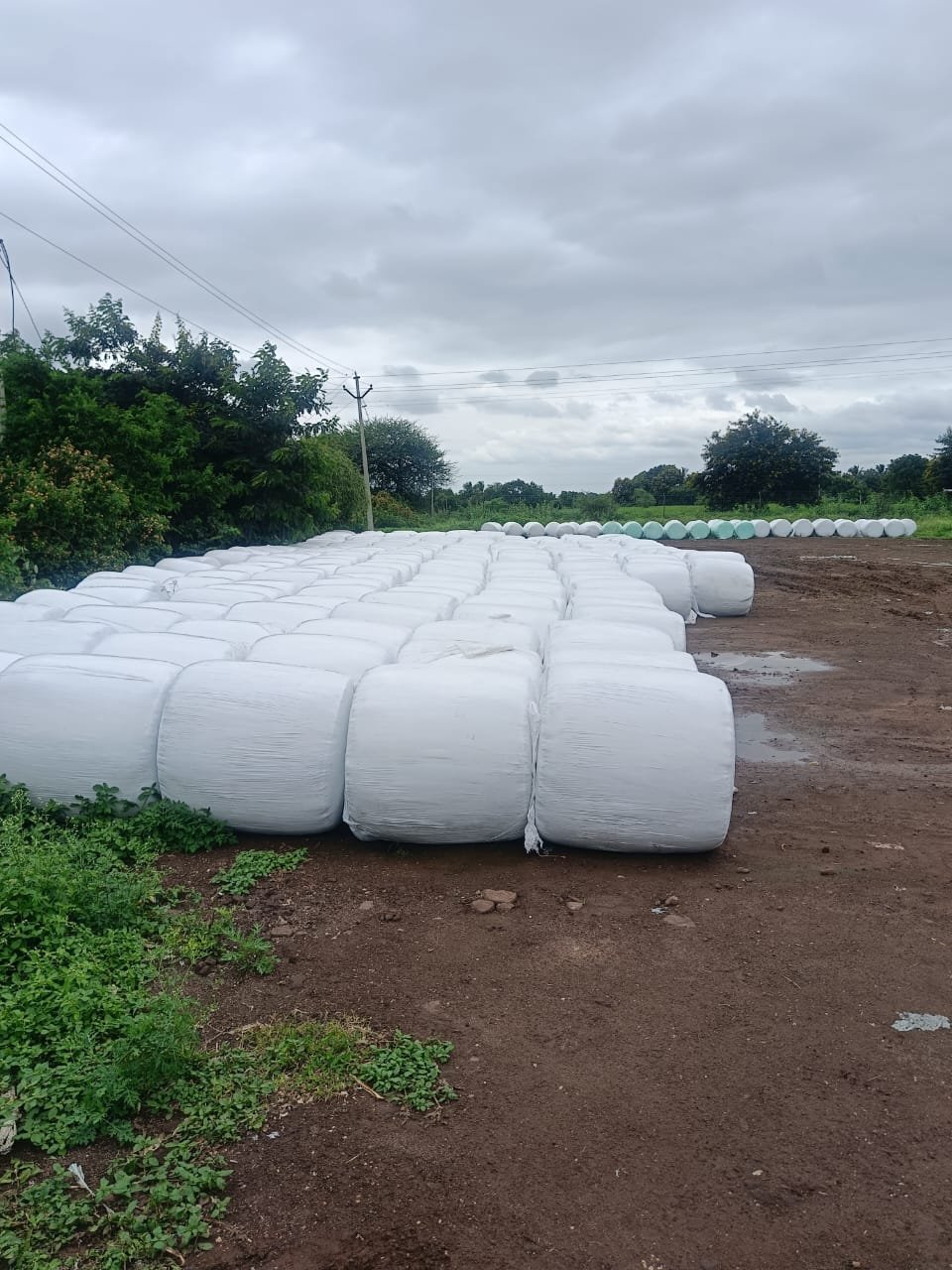 Fodder Storage