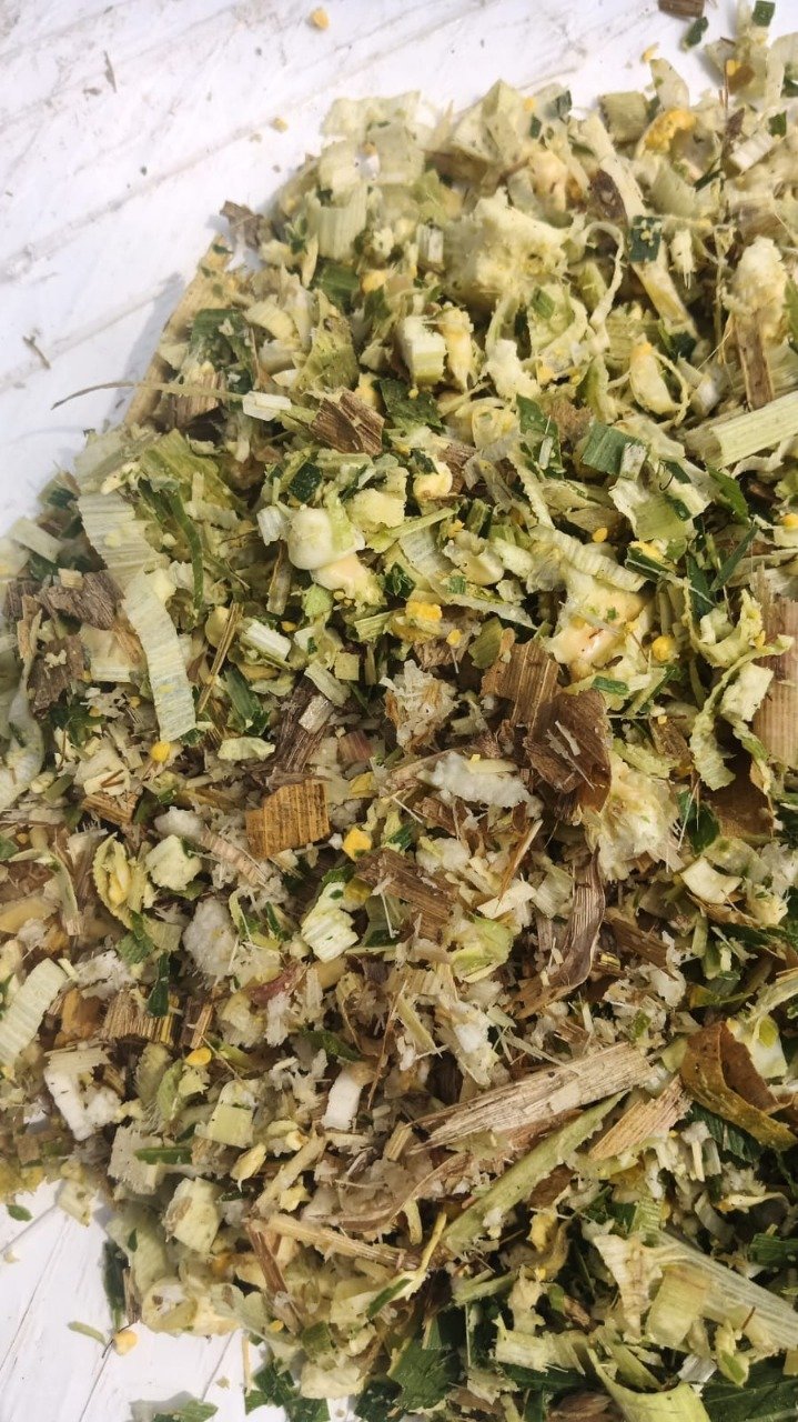 High Quality Baled Corn Silage